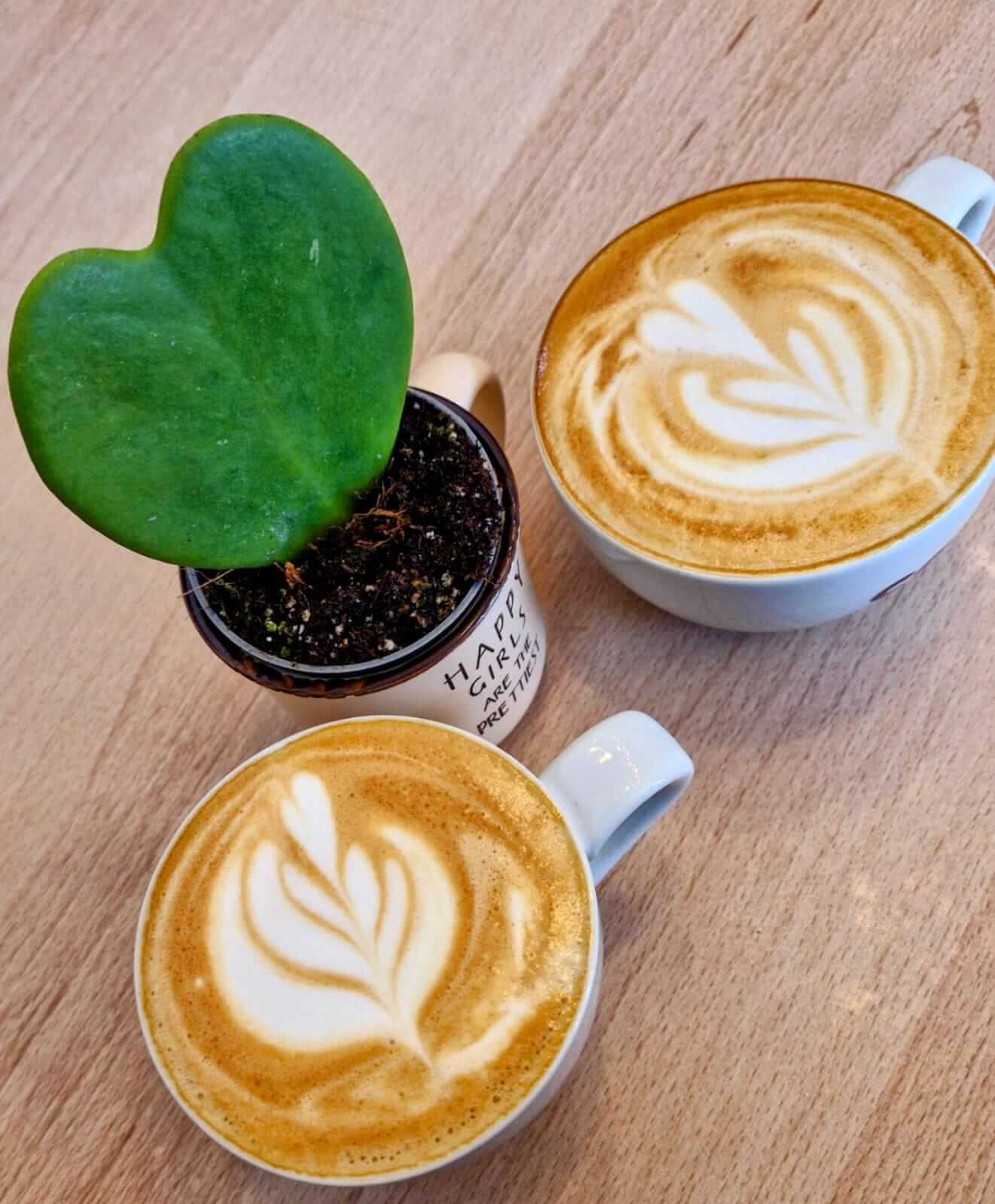 Cappuccino delicios