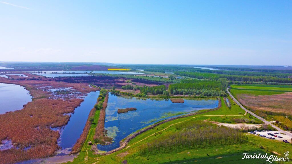 lacul bugeac dobrogea