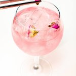 rose gin am pm