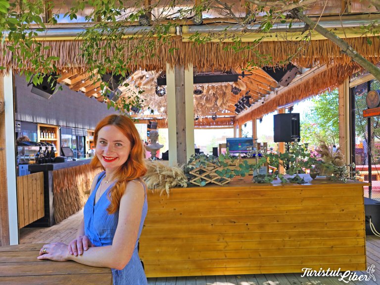bar zoom beach