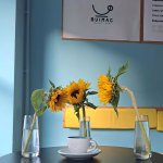 cafeneaua buimac bucuresti