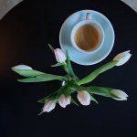 espresso de specialitate bucuresti buimac